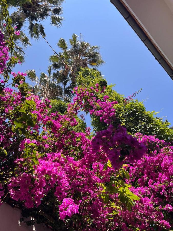 Palma Rosa Hotel Camyuva ภายนอก รูปภาพ
