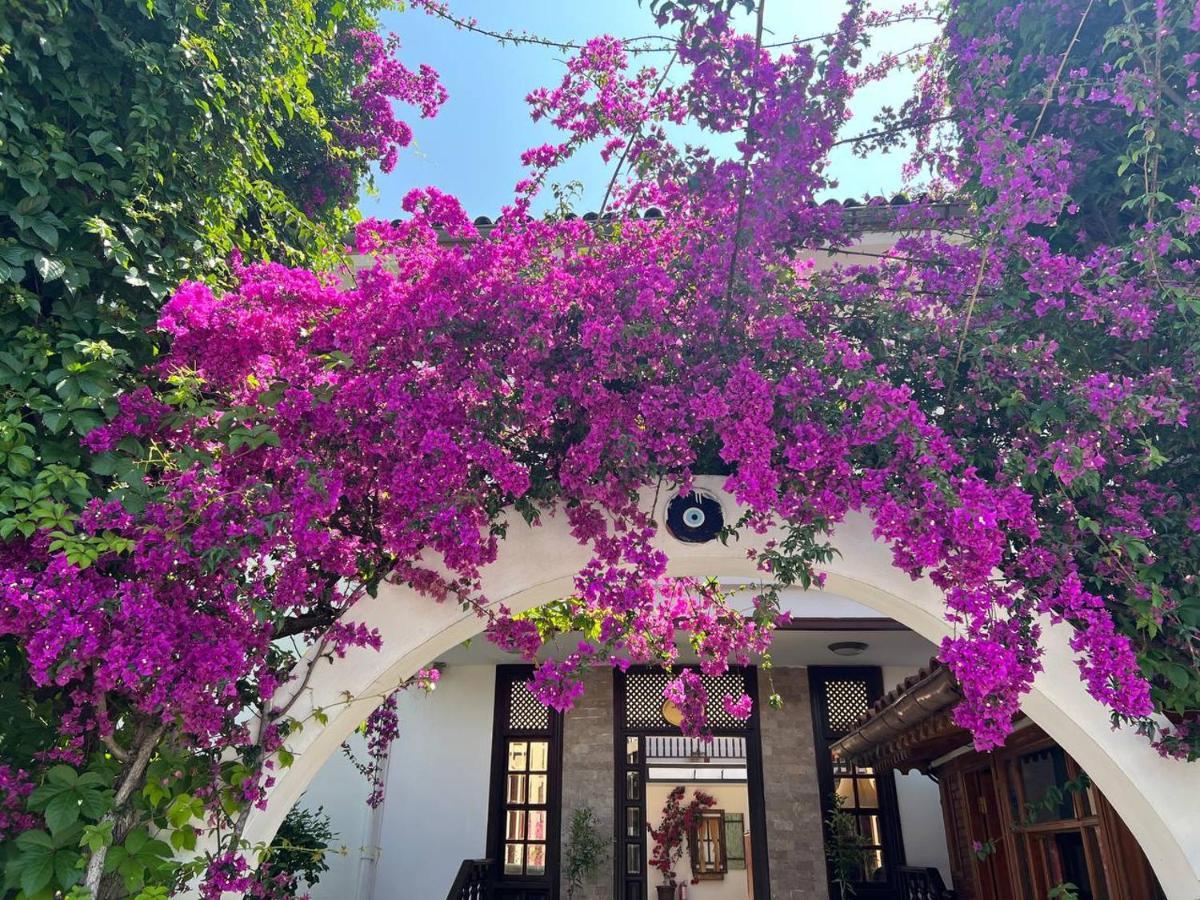 Palma Rosa Hotel Camyuva ภายนอก รูปภาพ