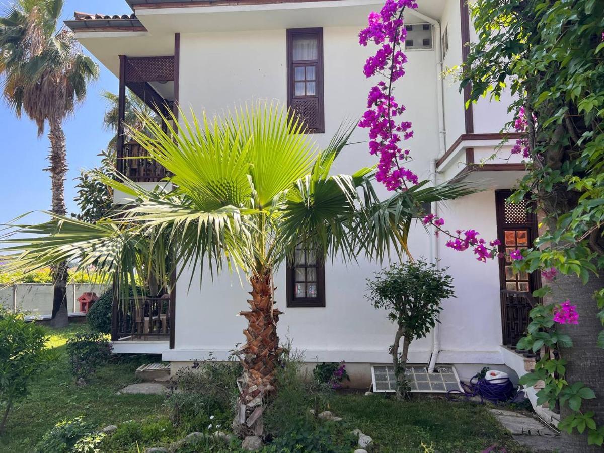 Palma Rosa Hotel Camyuva ภายนอก รูปภาพ